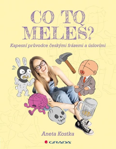 Kostka Aneta: Co to meleš? - Kapesní průvodce českými frázemi a úslovími