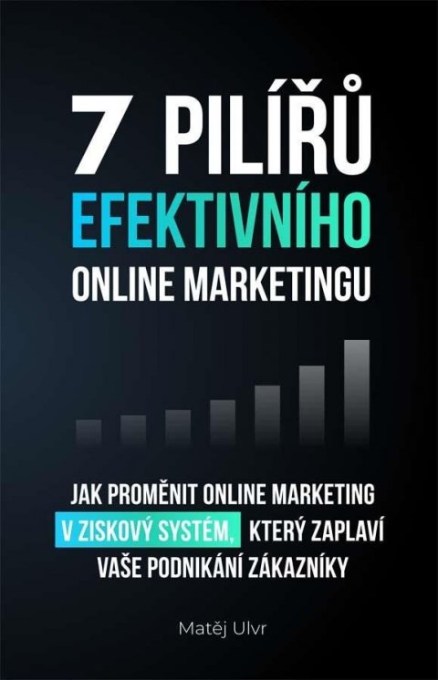 Ulvr Matěj: 7 pilířů efektivního marketingu - Jak proměnit online marketing v ziskový s
