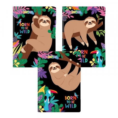 neuveden: Colorino poznámkový sešit Wildkid A5 linkovaný 64 listů - mix 3 motivů