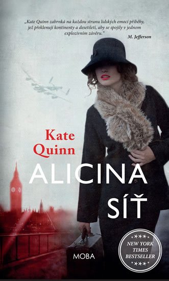 Quinn Kate: Alicina síť Quinn Kate: Alicina síť