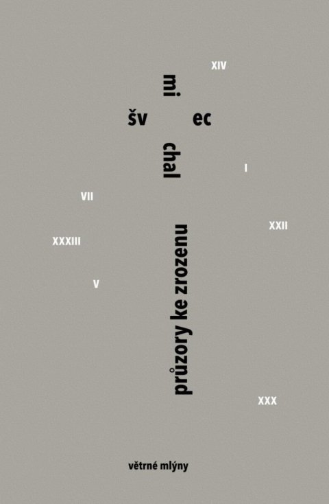 Švec Michal: Průzory ke zrozenu