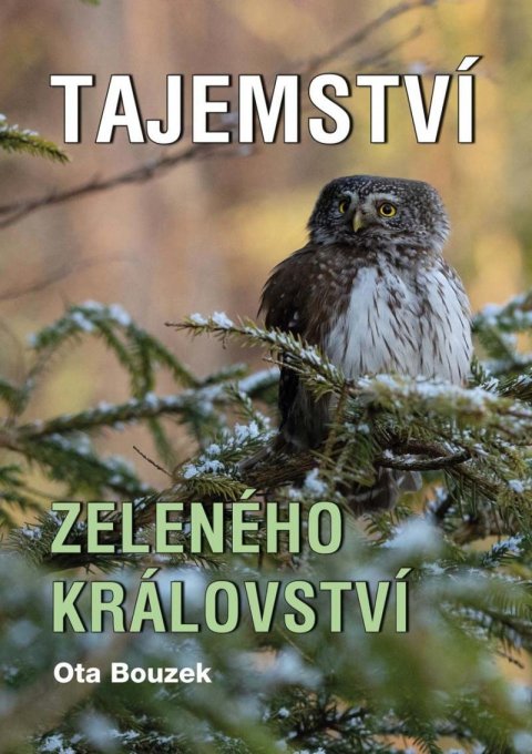 Bouzek Ota: Tajemství zeleného království Bouzek Ota: Tajemství zeleného království