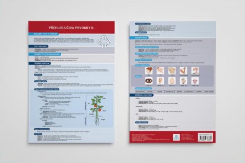 Dolejšová Jana: Přehled učiva prvouky II. - Přehledová tabulka učiva Dolejšová Jana: Přehled učiva prvouky II. - Přehledová tabulka učiva