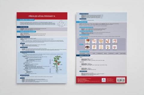 Dolejšová Jana: Přehled učiva prvouky II. - Přehledová tabulka učiva