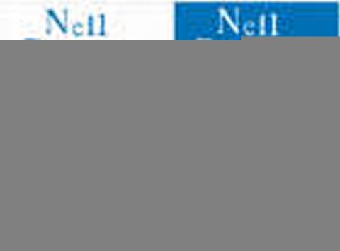 Gaiman Neil: Anansi Boys Gaiman Neil: Anansi Boys
