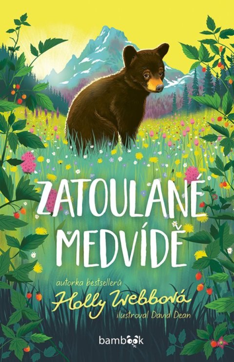 Webbová Holly: Zatoulané medvídě Webbová Holly: Zatoulané medvídě