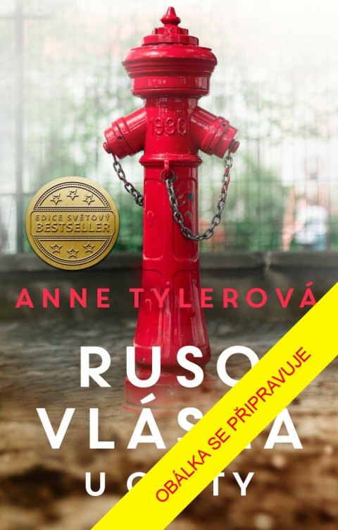 Tylerová Anne: Rusovláska u cesty Tylerová Anne: Rusovláska u cesty