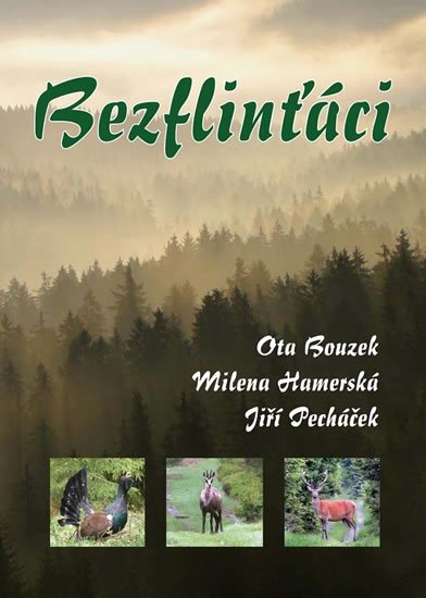 Bouzek Ota: Bezflinťáci Bouzek Ota: Bezflinťáci