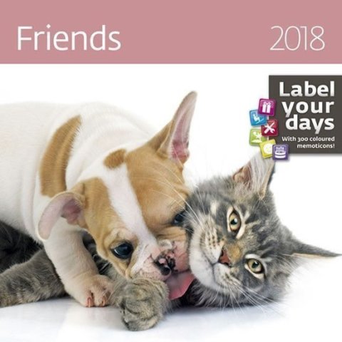 neuveden: Kalendář nástěnný 2018 - Friends