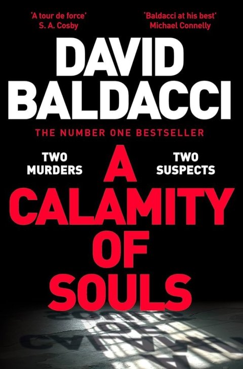 Baldacci David: A Calamity of Souls