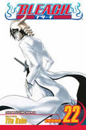 neuveden: Bleach 22 neuveden: Bleach 22