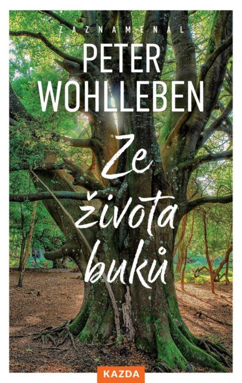 Wohlleben Peter: Ze života buků - Strom vypráví svůj úžasný příběh