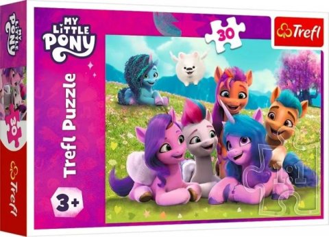 neuveden: Puzzle My Little Pony: Přátelští poníci/