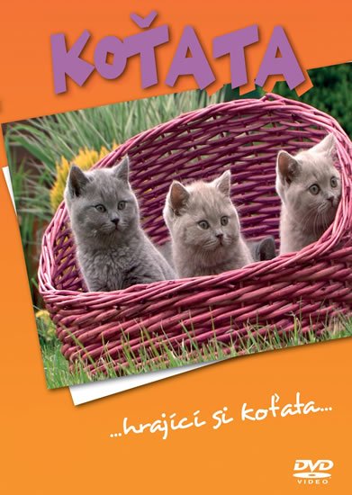 neuveden: Koťata - DVD neuveden: Koťata - DVD