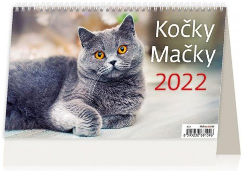 neuveden: Kalendář stolní 2022 - Kočky/Mačky