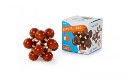 neuveden: Recenttoys Hlavolam: Brain Puzzle 1 - Čelní lalok