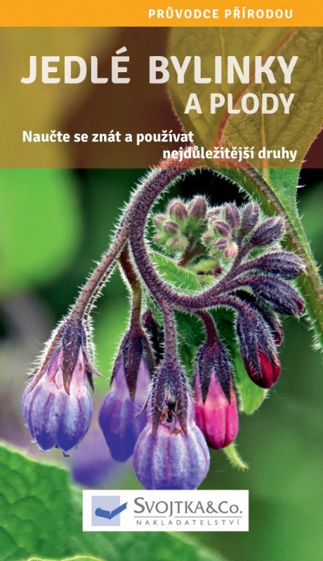 neuveden: Jedlé bylinky a plody - Naučte se znát a používat nejdůležitější druhy
