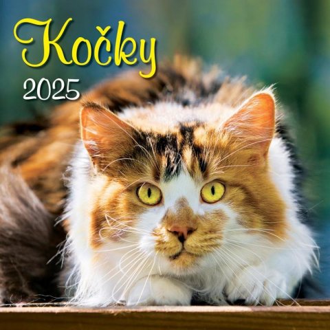 neuveden: Kalendář 2025 Kočky, nástěnný, 33 x 33 cm