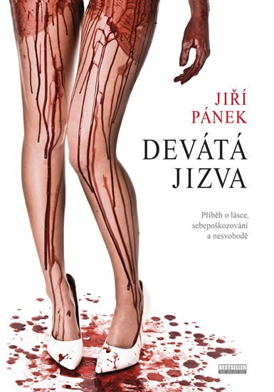 Pánek Jiří: Devátá jizva - Příběh o lásce, sebepoškozování a nesvobodě
