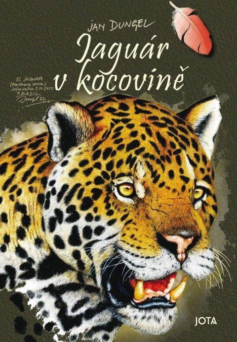 Dungel Jan: Jaguár v kocovině Dungel Jan: Jaguár v kocovině