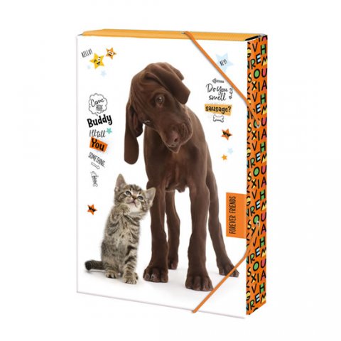 neuveden: Box na sešity A4 Forever friends neuveden: Box na sešity A4 Forever friends