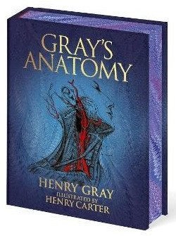 Gray Henry: Gray´s Anatomy