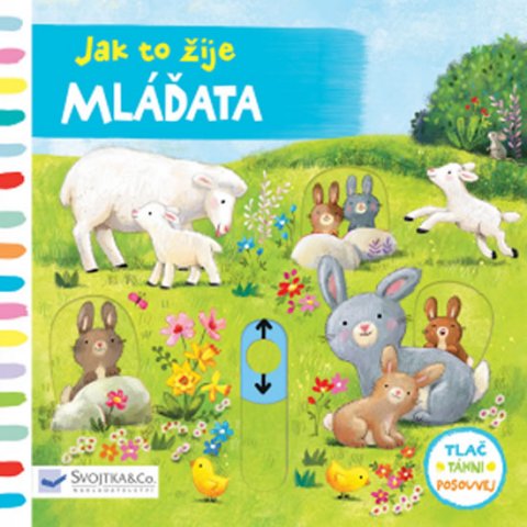 Jatkowska Ag: Mláďata - Jak to žije Jatkowska Ag: Mláďata - Jak to žije