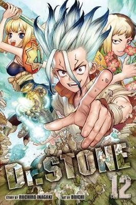 Inagaki Riichiro: Dr. Stone 12