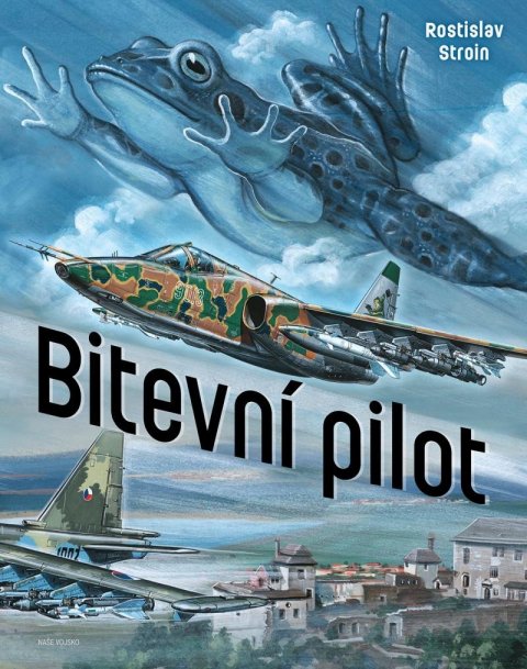 Stroin Rostislav: Bitevní pilot