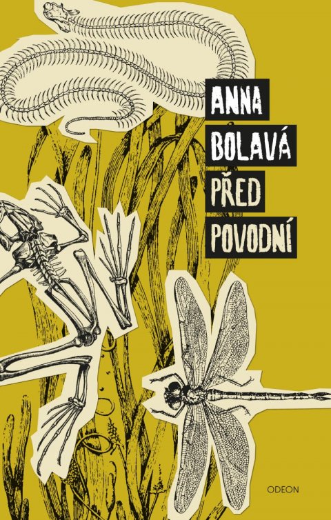 Bolavá Anna: Před povodní Bolavá Anna: Před povodní