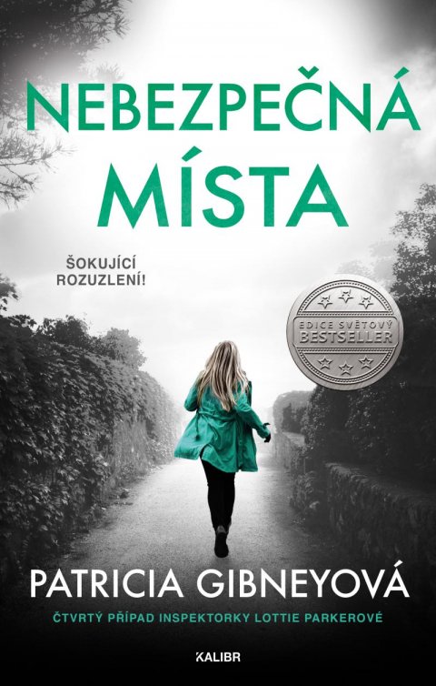 Gibneyová Patricia: Nebezpečná místa Gibneyová Patricia: Nebezpečná místa