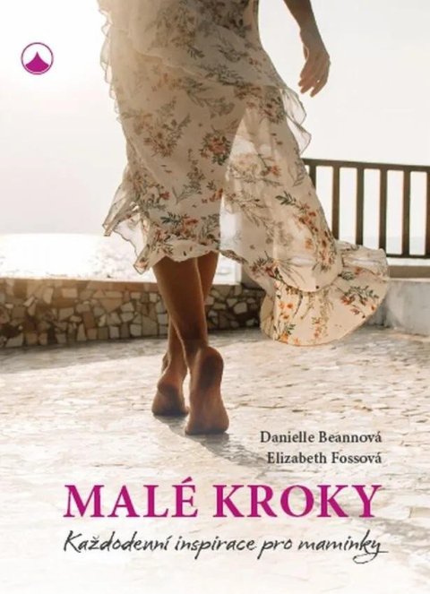 Beanová Danielle: Malé kroky - Každodenní inspirace pro maminky