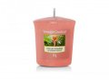 neuveden: YANKEE CANDLE The Last Paradise svíčka 49g votivní