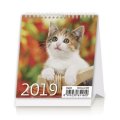 neuveden: Kalendář stolní 2019 - Mini Kittens