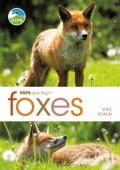 Unwin Mike: RSPB Spotlight: Foxes