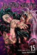 Akutami Gege: Jujutsu Kaisen 15