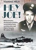 Hela Vlastimil: Hej Joe!