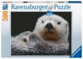 neuveden: Puzzle Roztomilá malá vydra 500 dílků