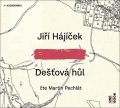 Hájíček Jiří: Dešťová hůl - CDmp3 (Čte Martin Pechlát)