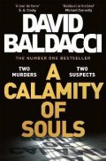 Baldacci David: A Calamity of Souls