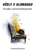 : Včely v klobouku - Povídky o zázracích běžných dnů