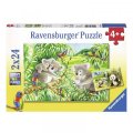 neuveden: Ravensburger Puzzle - Roztomilé koaly a pandy 2x24 dílků