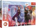 neuveden: Trefl Puzzle Frozen 2 - Cesta za dobrodružstvím / 260 dílků
