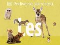 kolektiv autorů: Podívej se, jak rostou: Les