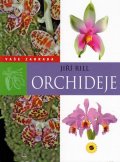 Rill Jiří: Orchideje - Vaše zahrada