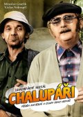 Nekvapil Václav: Legendární seriál Chalupáři - Příběh natáčení a osudy jeho hrdinů