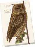 -: Notýsek Forest Animals - owl