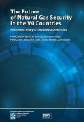 Černoch Filip: The Future of Natural Gas Security in the V4 Countries: A Scenario Analysis