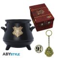neuveden: Harry Potter Dárkový set (Hrnek, Klíčenka, Odznáček)