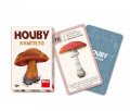 neuveden: Houby - kvarteto